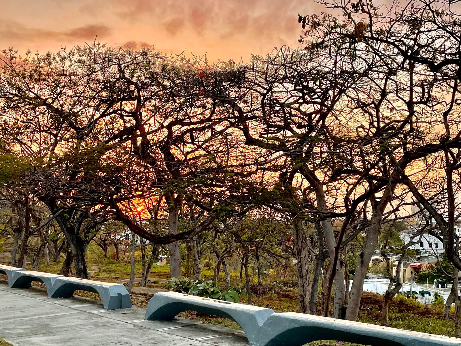 Paisaje del parque